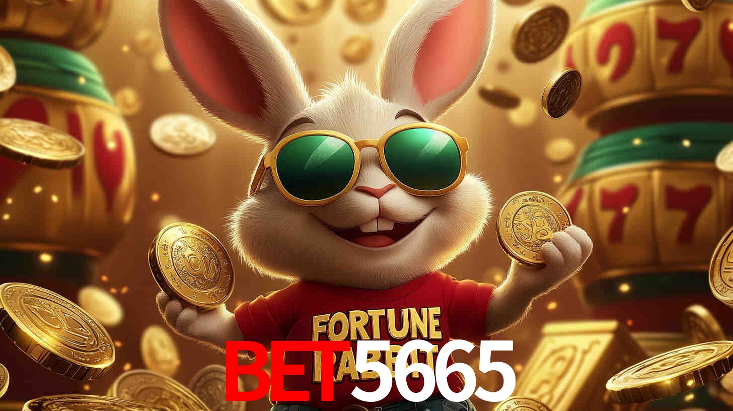 bet5665: A Experiência de Casino com Jogos de Mesa ao Vivo